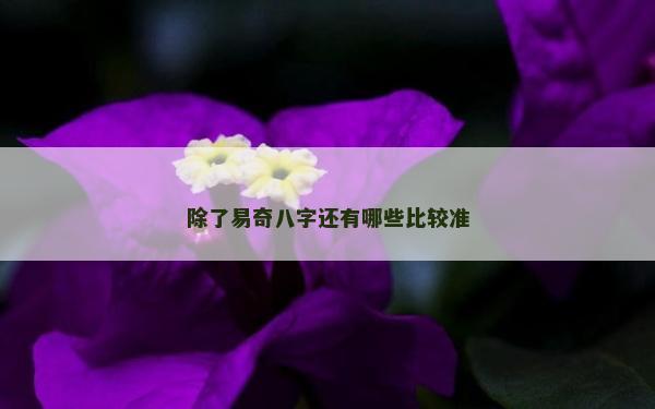 除了易奇八字还有哪些比较准