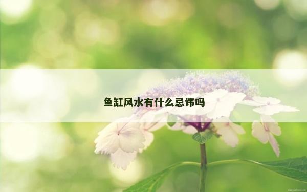 鱼缸风水有什么忌讳吗