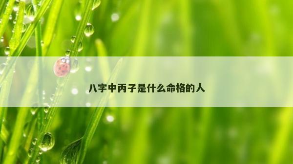 八字中丙子是什么命格的人