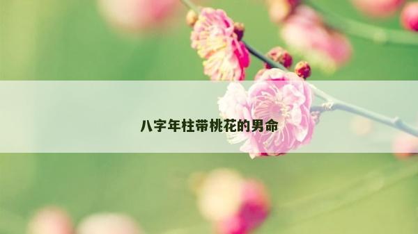 八字年柱带桃花的男命