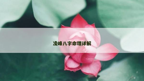 凌峰八字命理详解