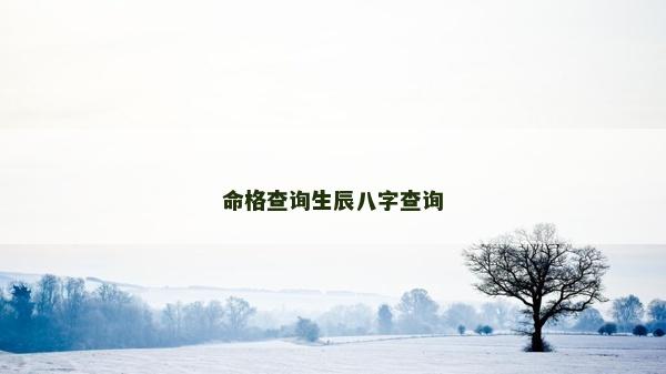 命格查询生辰八字查询