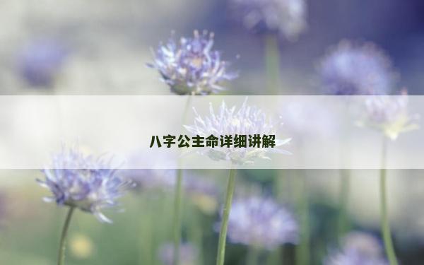 八字公主命详细讲解