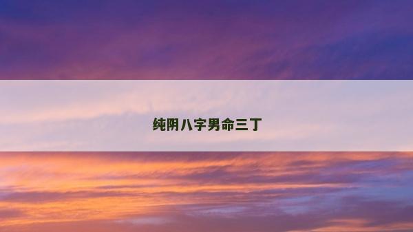 纯阴八字男命三丁