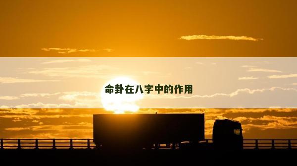 命卦在八字中的作用
