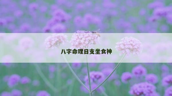八字命理日支坐食神
