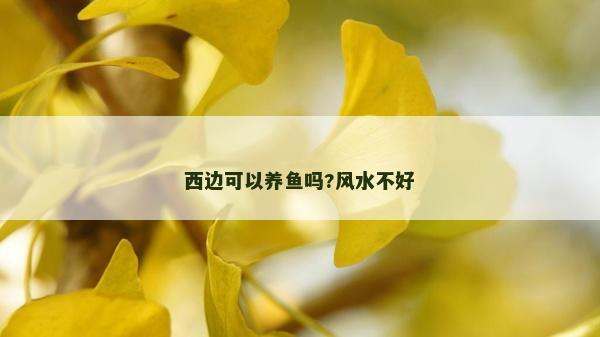 西边可以养鱼吗?风水不好