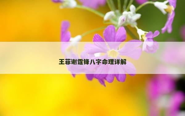 王菲谢霆锋八字命理详解
