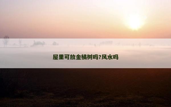 屋里可放金橘树吗?风水吗