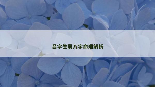 吕字生辰八字命理解析
