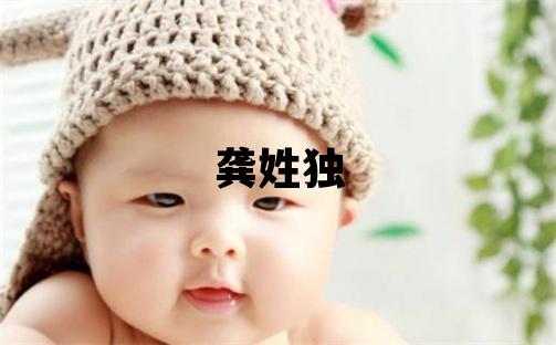 龚姓独特优美的男孩名字,取什么名字好