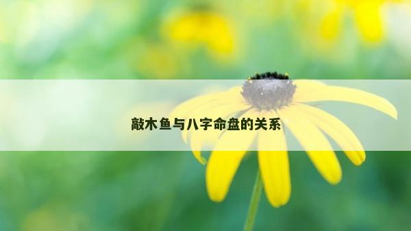 敲木鱼与八字命盘的关系