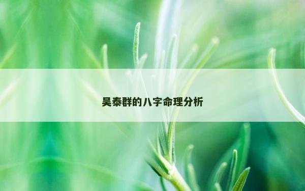 吴泰群的八字命理分析
