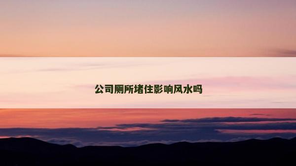公司厕所堵住影响风水吗