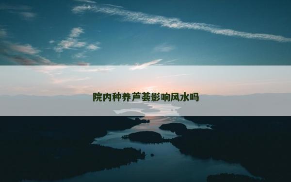 院内种养芦荟影响风水吗