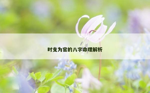 时支为官的八字命理解析