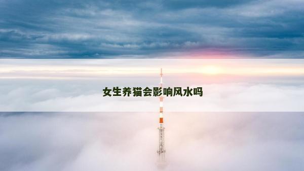 女生养猫会影响风水吗