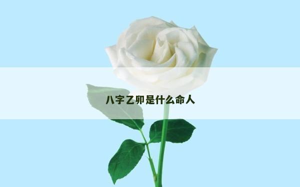 八字乙卯是什么命人