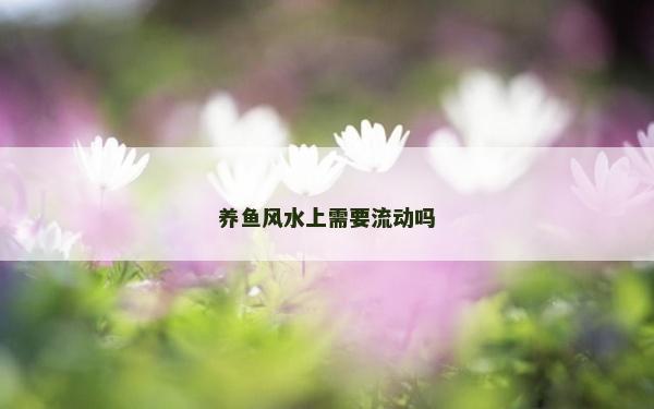 养鱼风水上需要流动吗