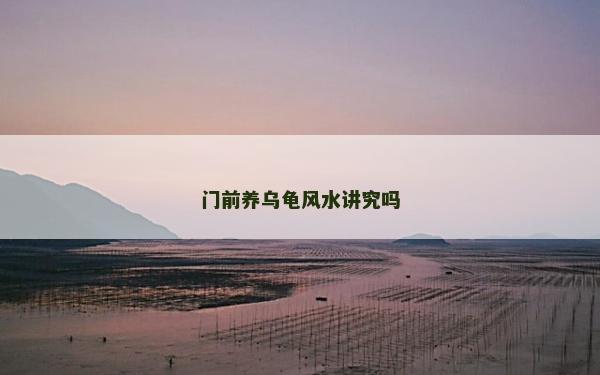 门前养乌龟风水讲究吗