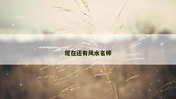 现在还有风水名师