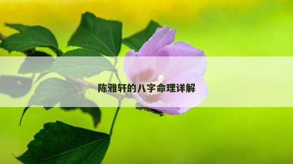 陈雅轩的八字命理详解