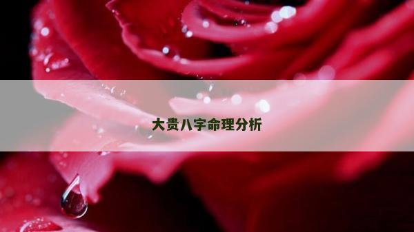 大贵八字命理分析