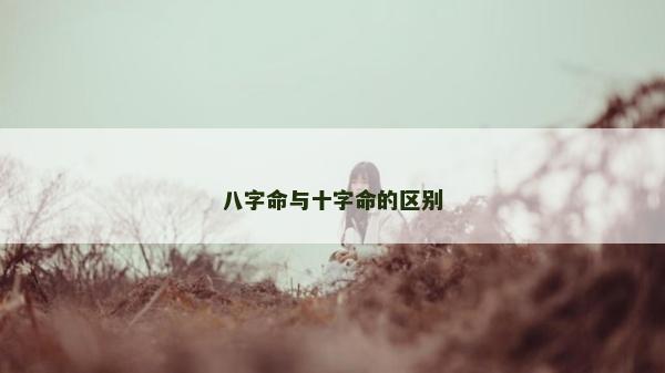 八字命与十字命的区别