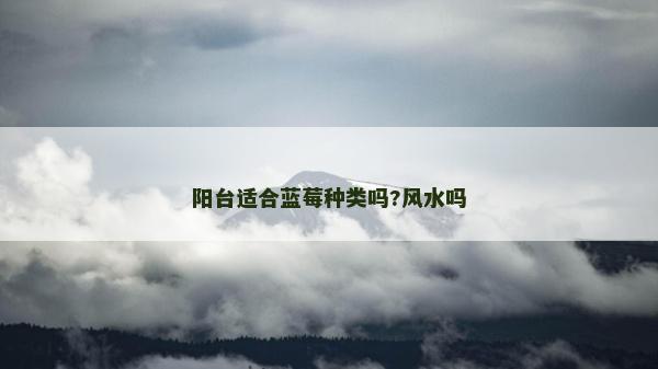 阳台适合蓝莓种类吗?风水吗