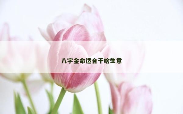 八字金命适合干啥生意