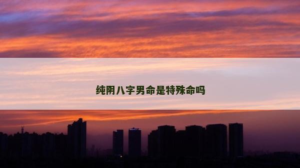 纯阴八字男命是特殊命吗
