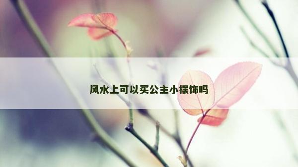 风水上可以买公主小摆饰吗