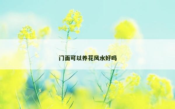 门面可以养花风水好吗