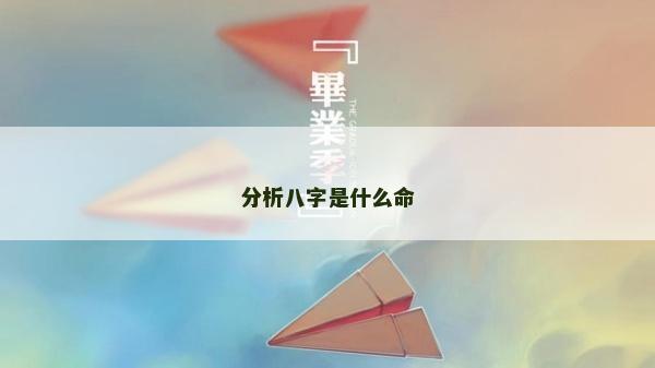 分析八字是什么命