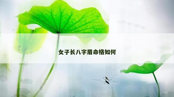 女子长八字眉命格如何