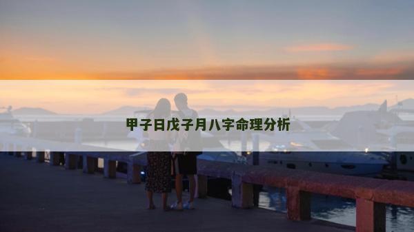 甲子日戊子月八字命理分析