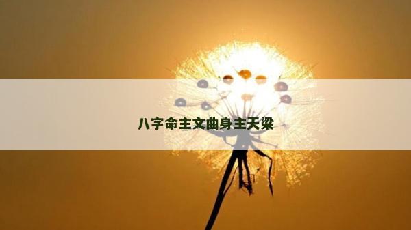 八字命主文曲身主天梁