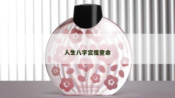 人生八字宫度查命