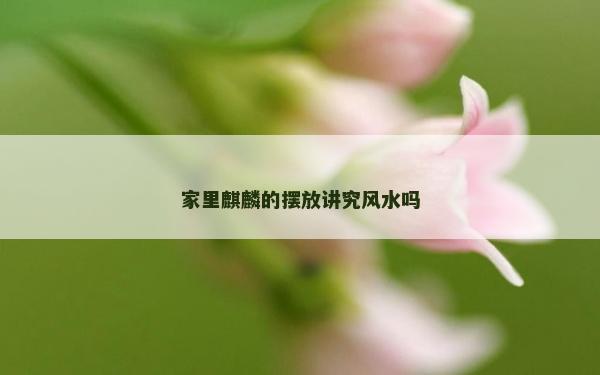 家里麒麟的摆放讲究风水吗