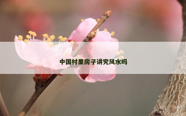 中国村里房子讲究风水吗