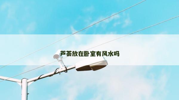芦荟放在卧室有风水吗