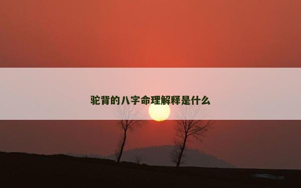 驼背的八字命理解释是什么