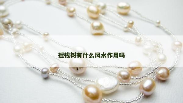 摇钱树有什么风水作用吗