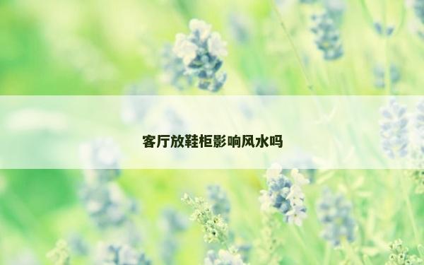 客厅放鞋柜影响风水吗