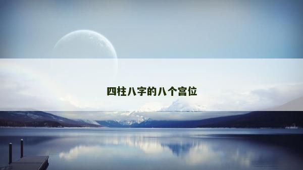 四柱八字的八个宫位