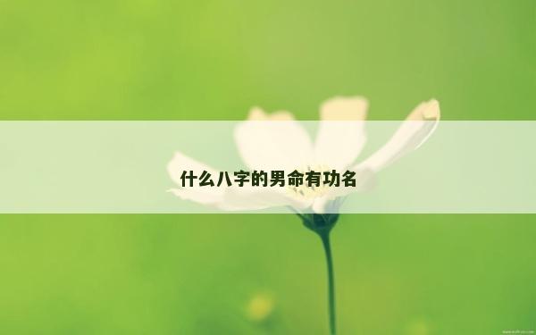 什么八字的男命有功名