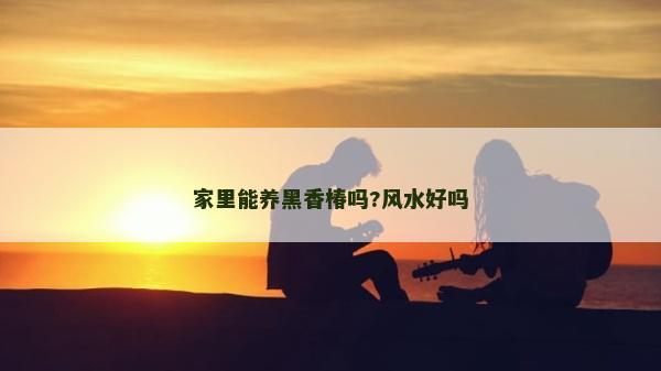 家里能养黑香椿吗?风水好吗
