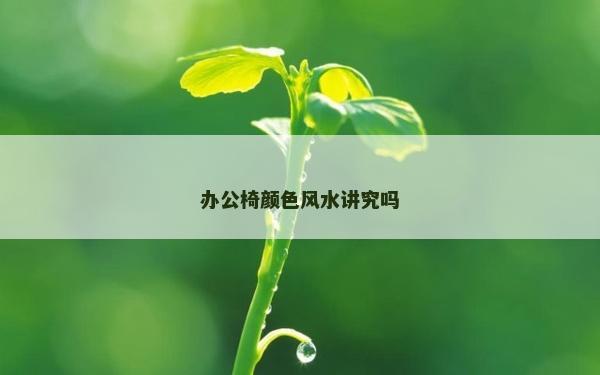 办公椅颜色风水讲究吗