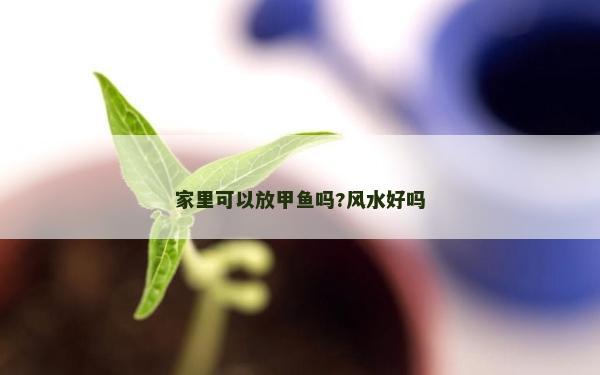家里可以放甲鱼吗?风水好吗