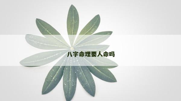 八字命理要人命吗